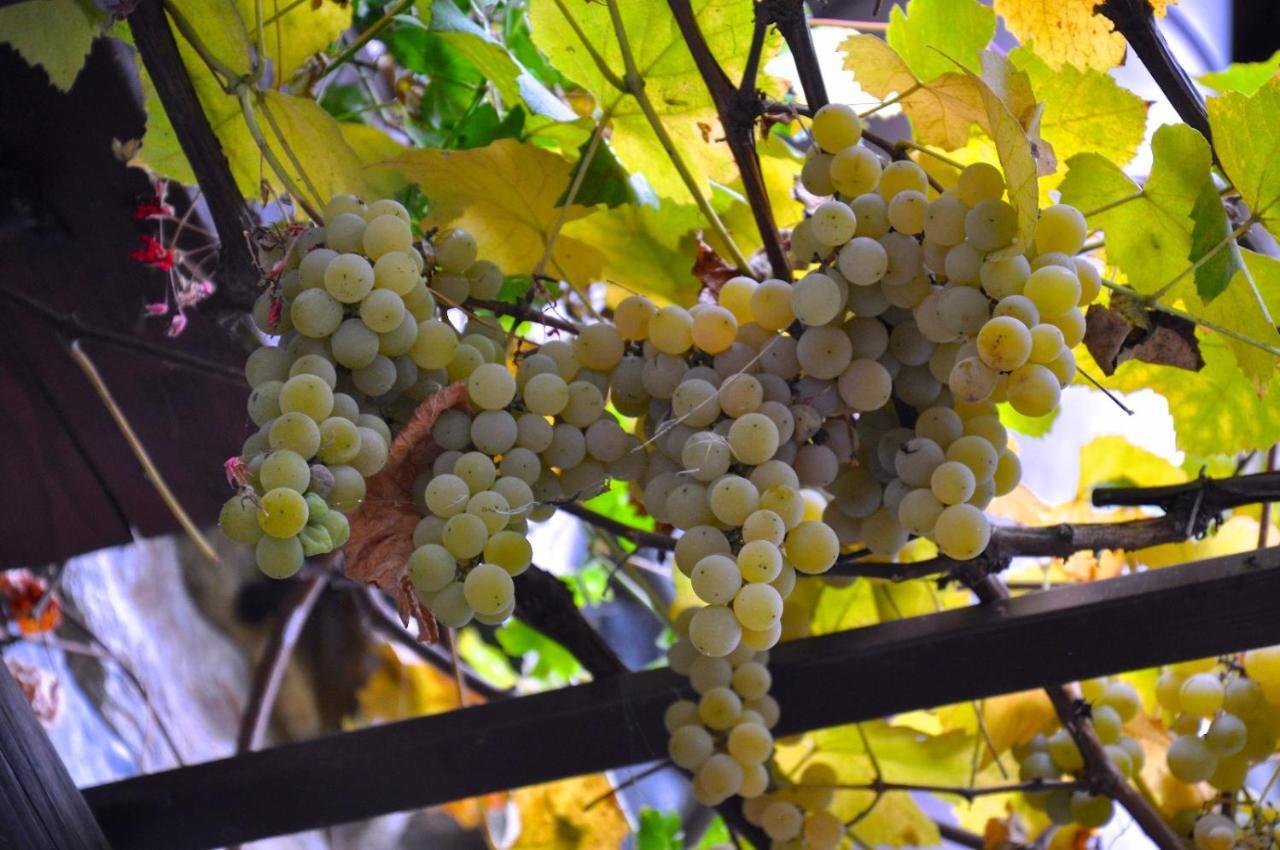 Alloggio per agriturismo Barcola Grandola ed Uniti